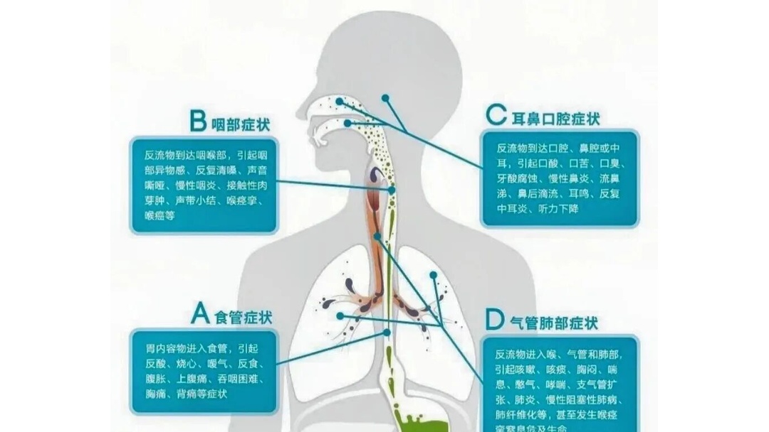 盐巴戟天的作用与功效 盐巴戟天的作用与功效